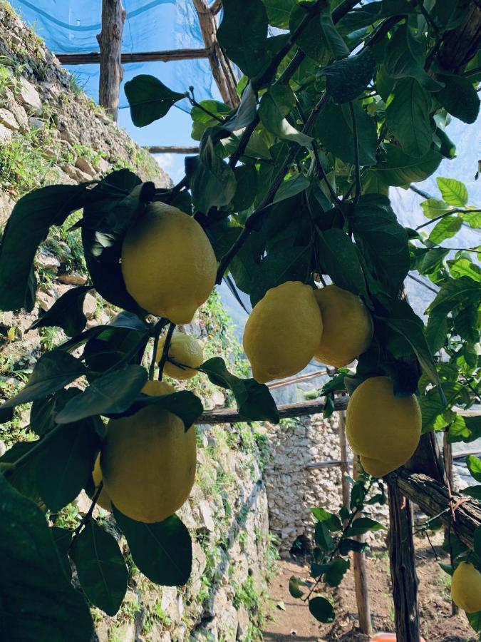 Il Giardino Dorato Villa Maiori Buitenkant foto